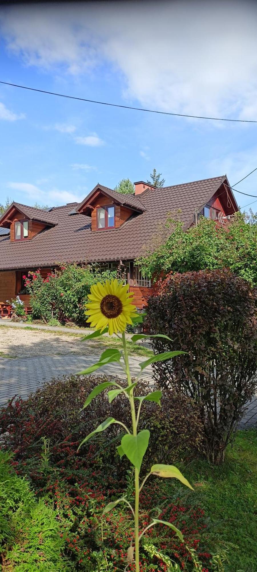 Mroczkowka Apartment Debowiec  Exterior photo